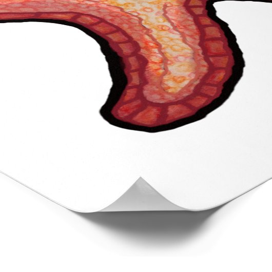 Sternenfisch Poster (Ecke)