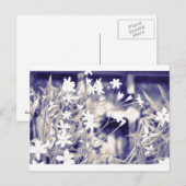 Sternenförmige Blume Sparkle, Postkarte (Vorne/Hinten)