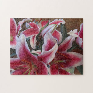 Sternengucker-1 Puzzle