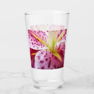 Sternengucker-Lilie Helle Magenta-Blüte Glas