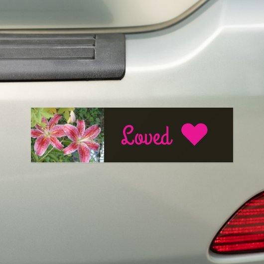 Sternengucker-Lilien Garten Blumen Autoaufkleber (Auf Auto)