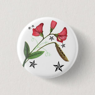 Sternenklares sweetpea button