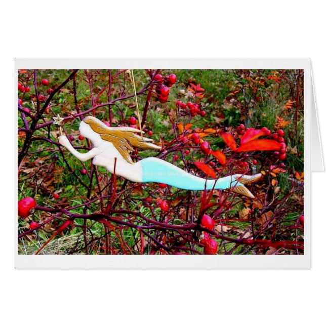 Sternenmädchen (Vorderseite (Horizontal))