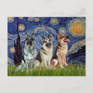 Sternennacht - 3 Deutsche Schäferhunde Postkarte