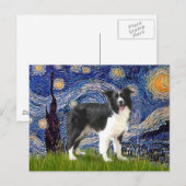 Sternennacht - Border Collie (Z) Postkarte (Vorne/Hinten)