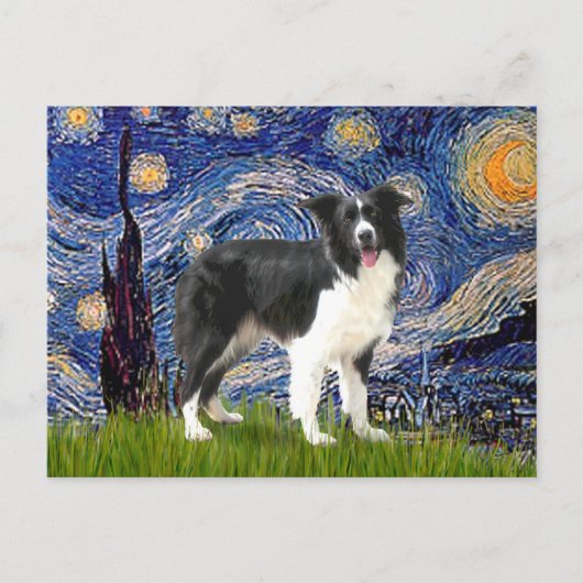 Sternennacht - Border Collie (Z) Postkarte (Vorderseite)