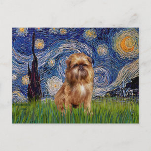 Sternennacht - Brauner Brüssel-Griffon Postkarte