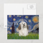 Sternennacht - Havanese (#1) Postkarte (Vorne/Hinten)