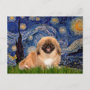 Sternennacht - Pekingese 1 Postkarte
