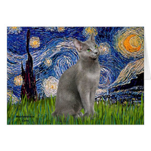 Sternennacht - Russische Blaue Katze