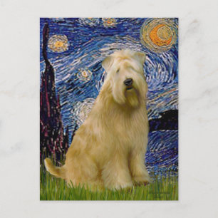 Sternennacht (V) - Wheaten Terrier Postkarte
