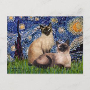Sternennacht - Zwei siamesische Katzen (Choc Pt) Postkarte