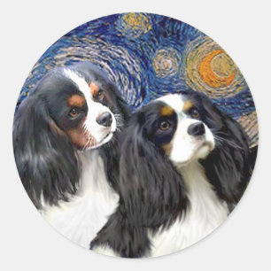 Sternennacht - Zwei Tri-Cavalier-King-Charles-Span Runder Aufkleber