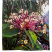 Sternexplosion Clerodendrum Blume Duschvorhang (Vorderseite)