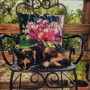 Sternexplosion Clerodendrum Blume Kissen