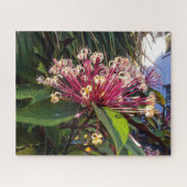 Sternexplosion Clerodendrum Blume Puzzle (Horizontal)