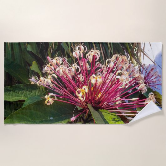 Sternexplosion Clerodendrum Blume Strandtuch (Vorderseite)