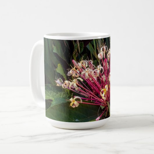 Sternexplosion Clerodendrum Blume Tasse (Vorderseite Links)