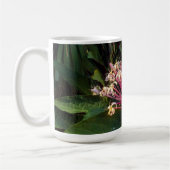 Sternexplosion Clerodendrum Blume Tasse (Links)