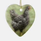 Sternexplosion-Huhn-Junge abgehaltene Keramik Ornament (Rechts)