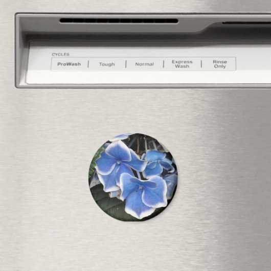 Sternexplosion Hydrangea (blau-weiß) Magnet (In Situ (Geschirrspüler))