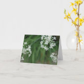 Sternexplosion Karte (Gelbe Blume)