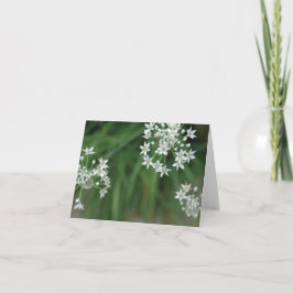 Sternexplosion Karte