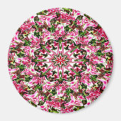 Sternexplosion......... Magnet (Vorne)