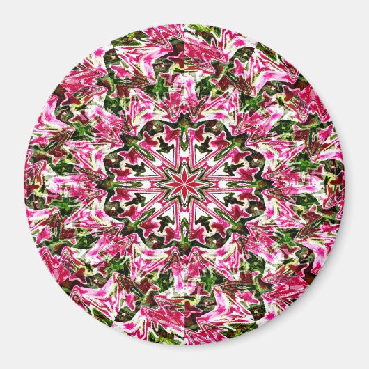 Sternexplosion......... Magnet (Vorne)