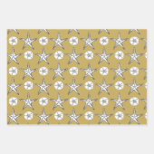 Sternfisch-Dollar-Sketch-Muster Geschenkpapier Set (Vorderseite)