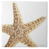 Sternfische Fliese (Vorderseite)