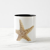 Sternfische Zweifarbige Tasse (Mittel)