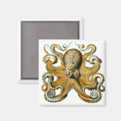 Sternheckel Magnet (Vorderseite/Rückseite)
