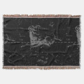 Sternkonstellation Hevelius um 1690 Decke (Vorderseite)