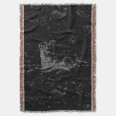 Sternkonstellation Hevelius um 1690 Decke (Vorderseite Vertikal)