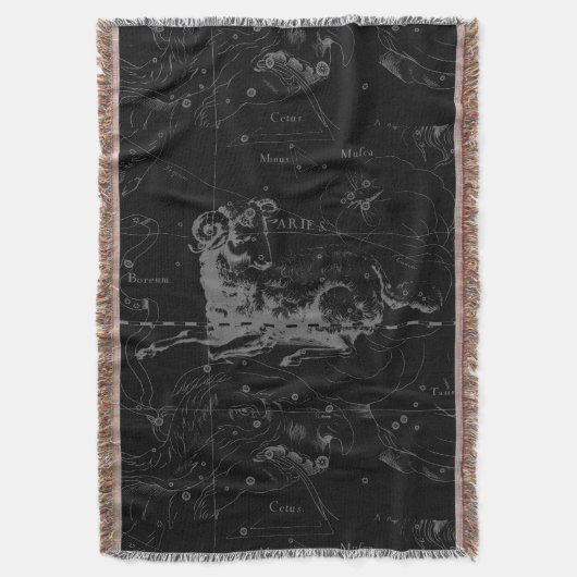 Sternkonstellation Hevelius um 1690 Decke (Vorderseite Vertikal)