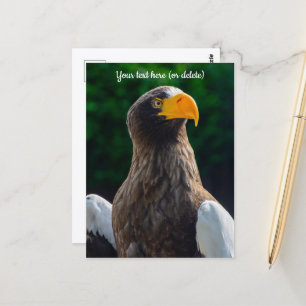 Sternmeeradler-Postkarte Postkarte
