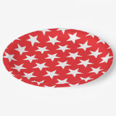 Sternmuster 12 pappteller (Schrägansicht)