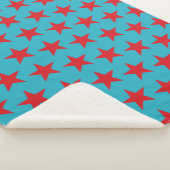 Sternmuster 13 sherpadecke (3/4)