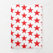 Sternmuster 14 dreifach gefaltete urlaubskarte (Cover)