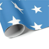 Sternmuster Geschenkpapier (Rolleneckpunkt)