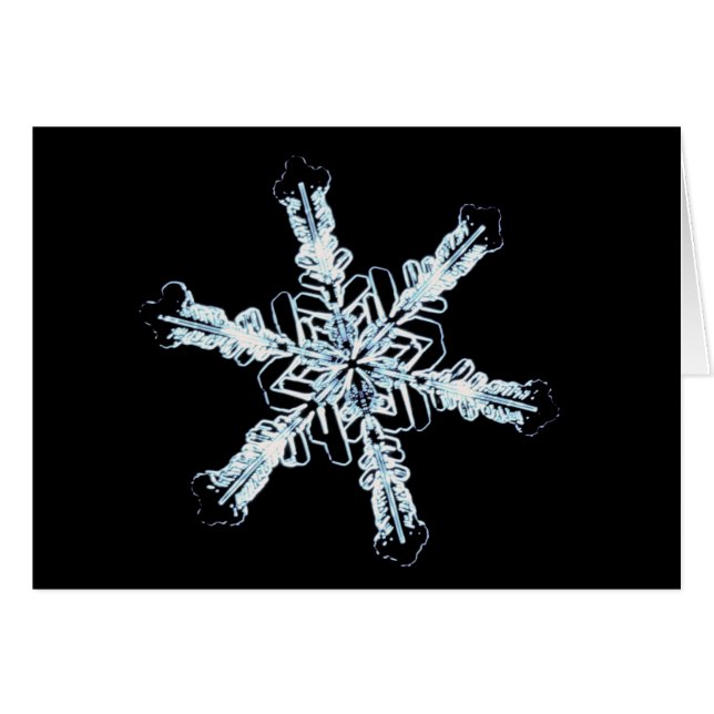 Sternschneekristall (Vorderseite (Horizontal))