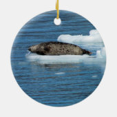 Sternseelöwe- und Hafen-Siegelverzierung Keramik Ornament (Hinten)