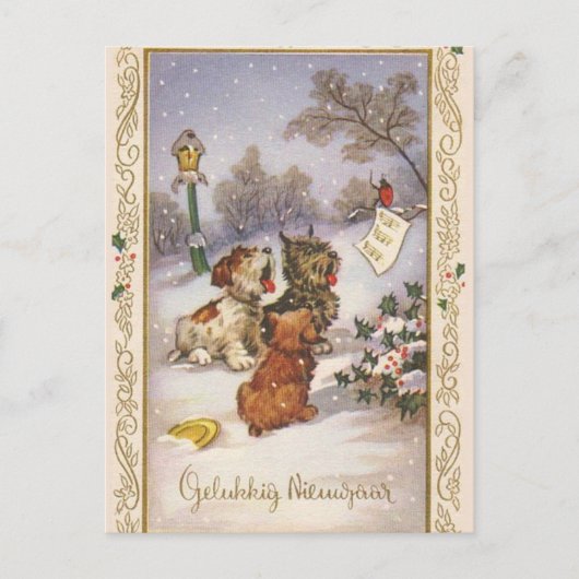 Sternsinger-Welpen Postkarte (Vorderseite)