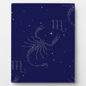 Sternskorpio Fotoplatte (Vorderseite)