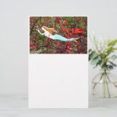 Sterntragende Meerjungfrau Briefpapier (Stehend Vorderseite)