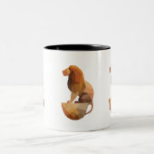 Sternzeichen Astrologie Kaffeetasse (Mittel)