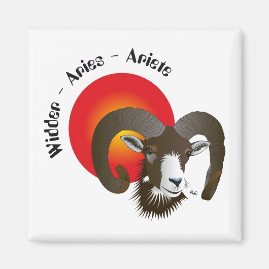 Sternzeichen des Breitengrades Magnet (Vorne)