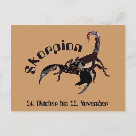 Sternzeichen des Skorpion-Sternzeichen Postkarte (Vorderseite)