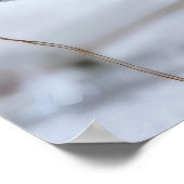 Sternzeichen Fische Glasskulpturen Poster (Ecke)